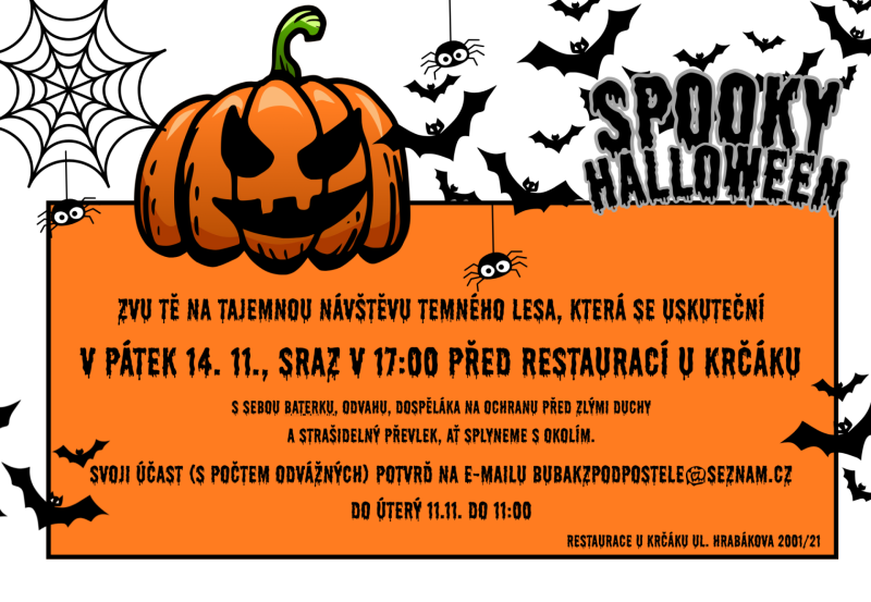 pátek 11. 7. 2025